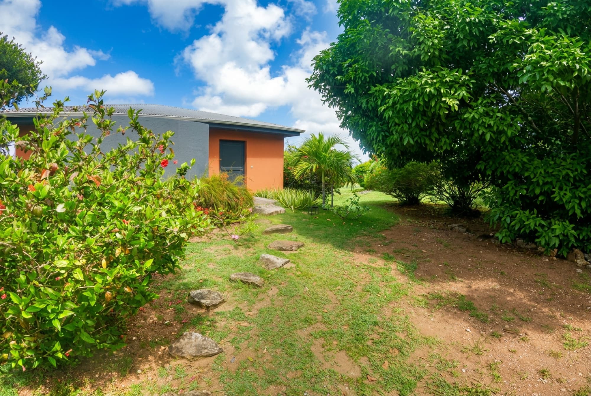 Stepping-stone path through the lawn and hibiscus to the villa