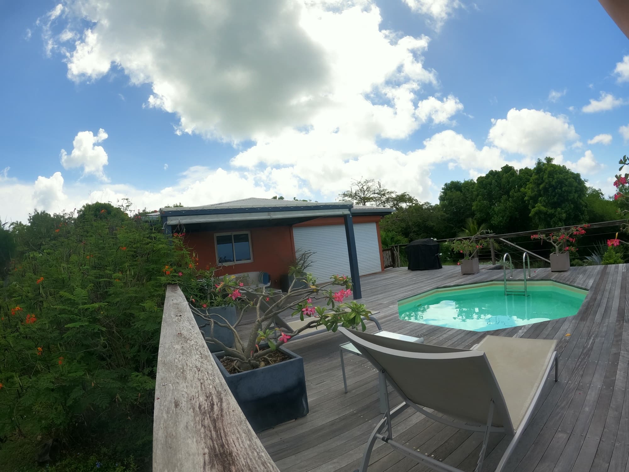 Frangipani flowers framing the plunge pool and loungers at Villa Zenitude