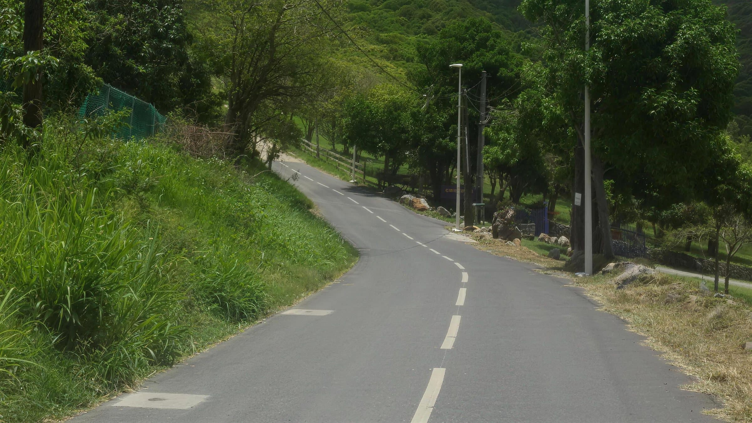 A narrow two-lane road between grassy banks and power poles, leading towards wooded hills